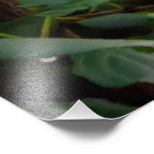 Humming bird foto afdruk (Hoek)