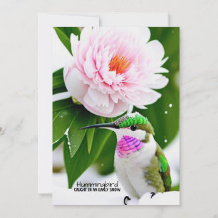 Humming Bird in the Snow - Carte plate