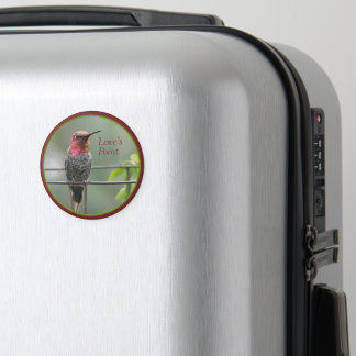Humming Bird Love's Point Magnet