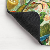 Humming Bird Muismat (Hoek)