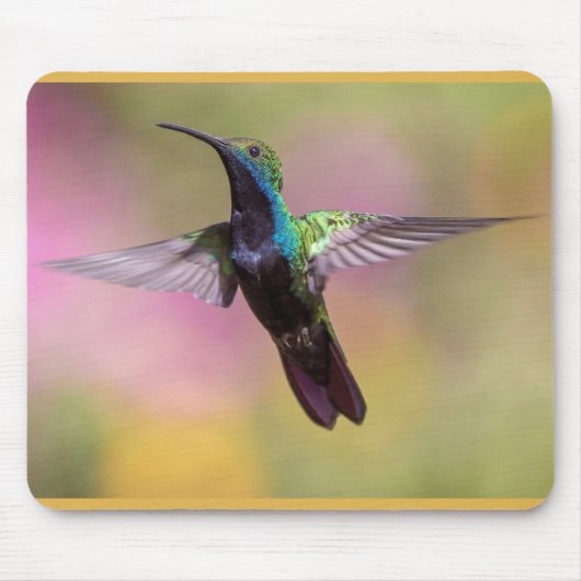Humming Bird Muismat (Voorkant)
