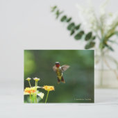 Humming door om hallo te zeggen! briefkaart (Staand voorkant)