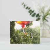 Hummingbird 2,Briefkaart Briefkaart (Staand voorkant)