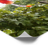 Hummingbird 2, Print (Hoek)