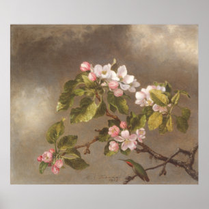 Hummingbird and Apple Blossom 1875 Poster