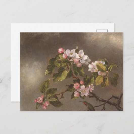 Hummingbird and Apple Blossom Briefkaart (Voorkant / Achterkant)