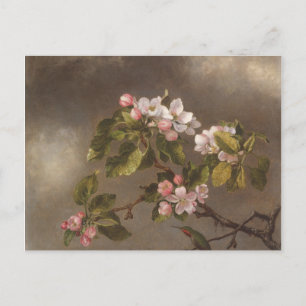 Hummingbird and Apple Blossom Briefkaart