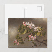 Hummingbird and Apple Blossom Briefkaart (Voorkant / Achterkant)