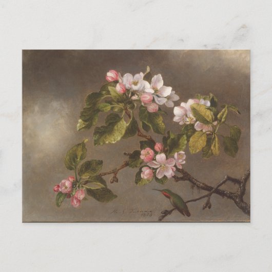 Hummingbird and Apple Blossom Briefkaart (Voorkant)