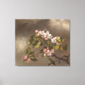 Hummingbird and Apple Blossom Canvas Afdruk (Voorkant)