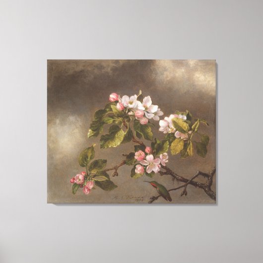 Hummingbird and Apple Blossom Canvas Afdruk (Voorkant)