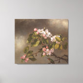 Hummingbird and Apple Blossom Canvas Afdruk (Voorkant)
