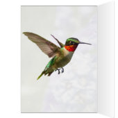 Hummingbird and Delphinium (Binnen (Links))