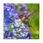 Hummingbird and Delphinium Tegeltje (Voorkant)