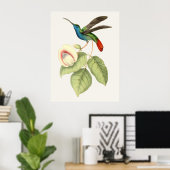 Hummingbird and Flower Poster (Thuiskantoor)