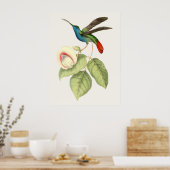 Hummingbird and Flower Poster (Keuken)