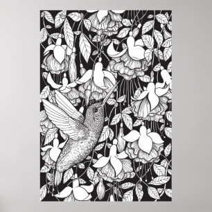 Hummingbird and fuchsia poster