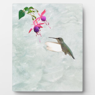 Hummingbird and Fuschia Fotoplaat