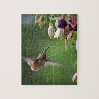 Hummingbird and Fushia Plant Legpuzzel