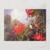 Hummingbird and Passiflora by Martin Johnson Heade Briefkaart (Voorkant)