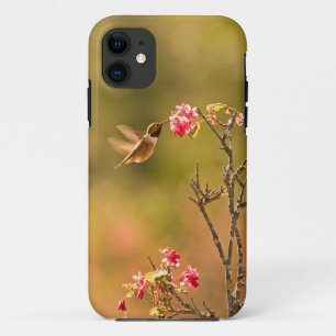 Hummingbird and Pink Flowers iPhone 11 Hoesje