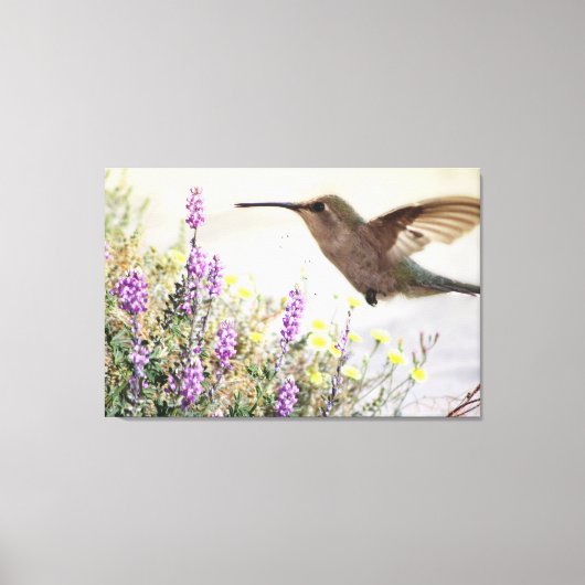 Hummingbird and Wildflowers Digital Art Canvas Afdruk (Voorkant)
