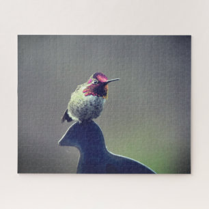 Hummingbird Anna's Puzzle Legpuzzel