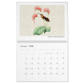  Hummingbird Art 2026 Kalender (Jan 2026)