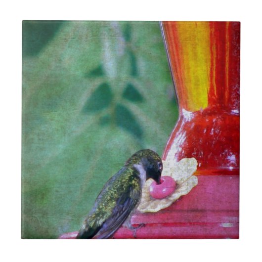 Hummingbird at Feeder Tegeltje (Voorkant)