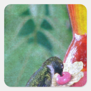 Hummingbird at Feeder Vierkante Sticker