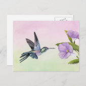 Hummingbird at Morning Glory bird art Carte postal (Devant / Derrière)