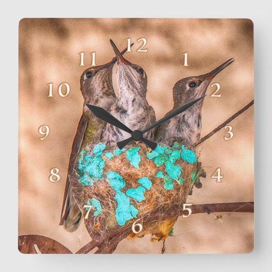 HUMMINGBIRD BABIES BUSTING LOOSE VIERKANTE KLOK (Voorkant)