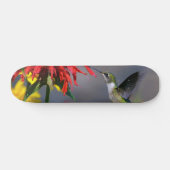 Hummingbird Beauty Skateboard (Horizontaal)