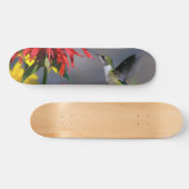 Hummingbird Beauty Skateboard (Horizontaal)