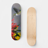 Hummingbird Beauty Skateboard (Voorkant)