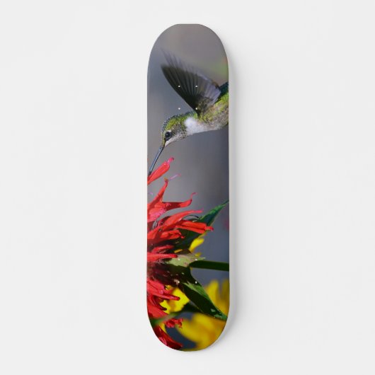 Hummingbird Beauty Skateboard (Voorkant)