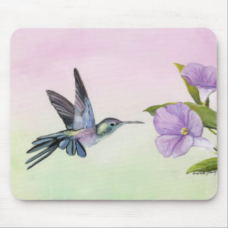 Hummingbird bij de Muismat van de Morning Glory Ar