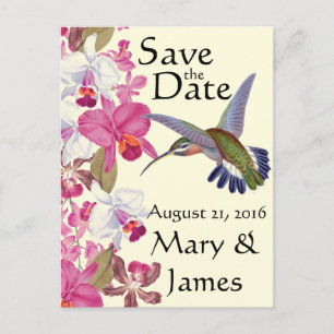 Hummingbird Bird Flowers Orchid Floral Save Date Aankondigingskaart