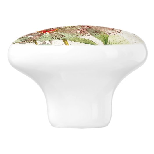 Hummingbird Bird Roos Flowers Ceramic Pull Knop (Zijkant)