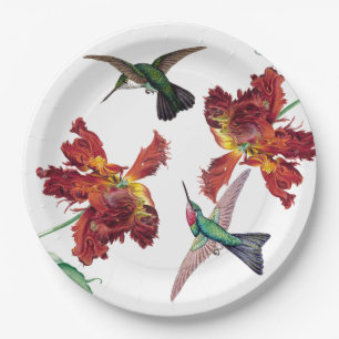 Hummingbird Bird Tulip Flowers Paper Bord