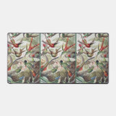 Hummingbird Bird Wildlife Classic Painting (Recto)