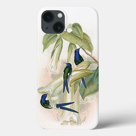 Hummingbird Birds iPhone 6 Coque (Verso)