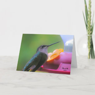 Hummingbird Birthday Card Kaart