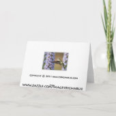 Hummingbird Birthday Card Kaart (Achterkant)