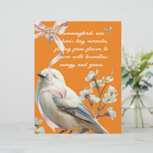 HUMMINGBIRD BRIEFHOOFD