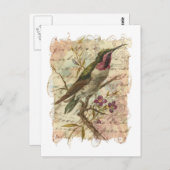  Hummingbird Briefkaart (Voorkant / Achterkant)