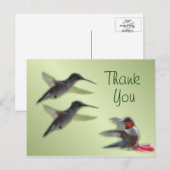 Hummingbird Briefkaart Bedankt voor elke gelegenhe (Voorkant / Achterkant)