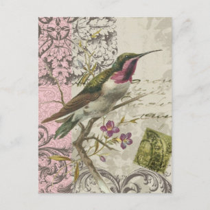  Hummingbird...briefkaart Briefkaart