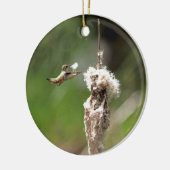 Hummingbird Building a Nest Keramisch Ornament (Links)