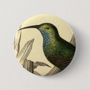  Hummingbird Button